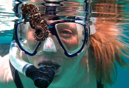 Snorkeling à Fidji