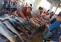 Samoa - Upolu © Samoa Tourism Authority, David Kirkland